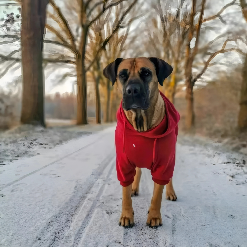 FurHug Hoodie